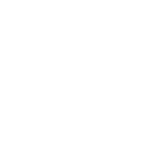10 Years Experience